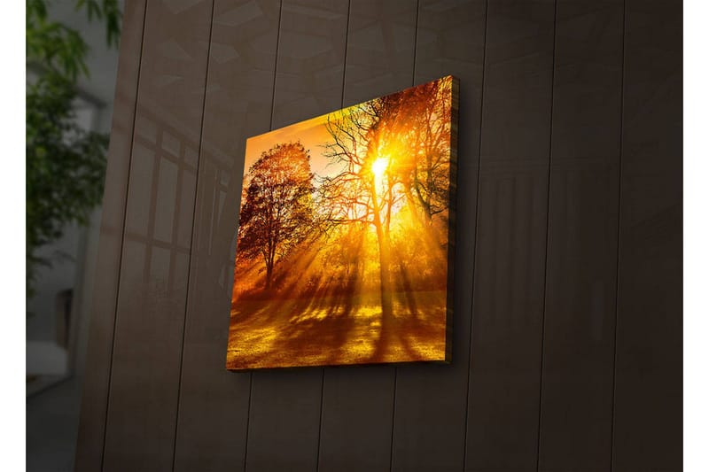 Canvastavla med LED-belysning 40x40 cm - Gyllene höstlandskap med solstrålar som strålar genom träden - Guld / Orange / Brun - Inredning & dekor - Tavlor & konst - Canvastavla