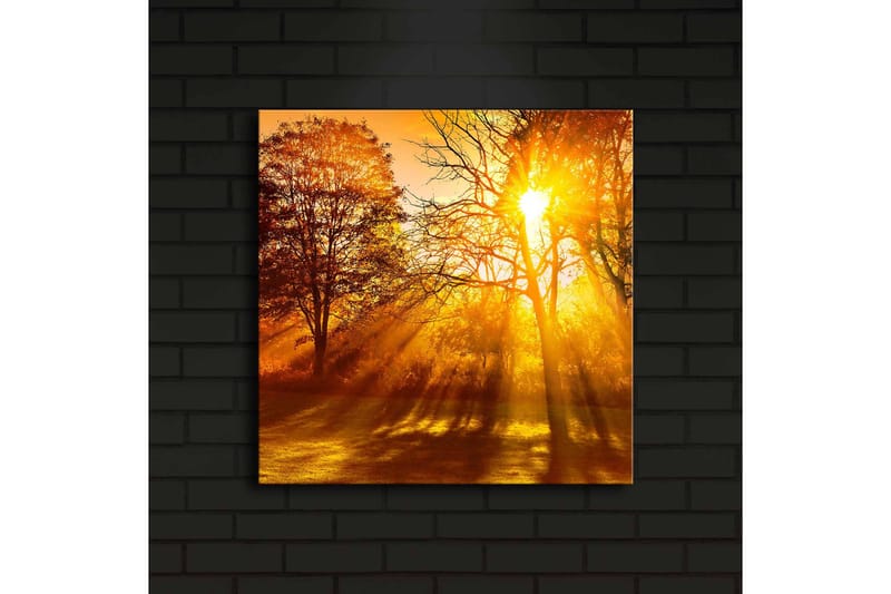 Canvastavla med LED-belysning 40x40 cm - Gyllene höstlandskap med solstrålar som strålar genom träden - Guld / Orange / Brun - Inredning & dekor - Tavlor & konst - Canvastavla