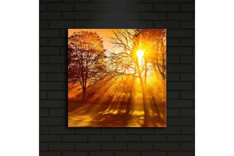 Canvastavla med LED-belysning 40x40 cm - Gyllene höstlandskap med solstrålar som strålar genom träden - Guld / Orange / Brun - Inredning & dekor - Tavlor & konst - Canvastavla