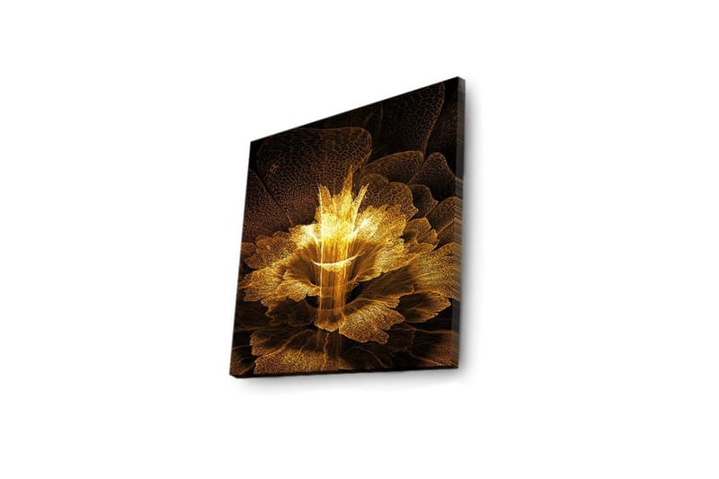 Canvastavla med LED-belysning 40x40 cm - Ljusstrålande blomma i abstrakt stil - Guld / Svart / Brun - Inredning & dekor - Tavlor & konst - Canvastavla