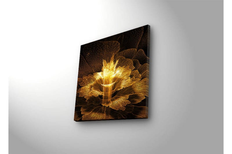 Canvastavla med LED-belysning 40x40 cm - Ljusstrålande blomma i abstrakt stil - Guld / Svart / Brun - Inredning & dekor - Tavlor & konst - Canvastavla