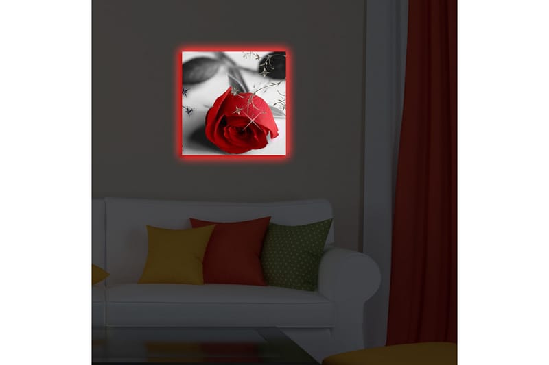 Canvastavla med LED-belysning 40x40 cm - Röd ros med svarta och gråa inslag - Röd / Svart / Grå - Inredning & dekor - Tavlor & konst - Canvastavla