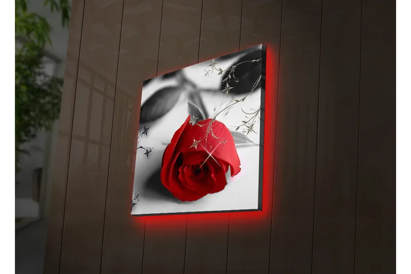 Canvastavla med LED-belysning 40x40 cm - Röd ros med svarta och gråa inslag - Röd / Svart / Grå - Inredning & dekor - Tavlor & konst - Canvastavla