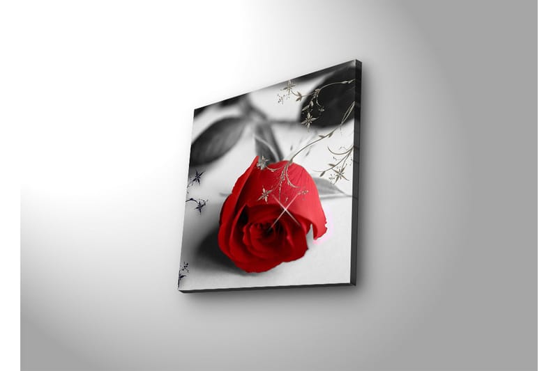 Canvastavla med LED-belysning 40x40 cm - Röd ros med svarta och gråa inslag - Röd / Svart / Grå - Inredning & dekor - Tavlor & konst - Canvastavla