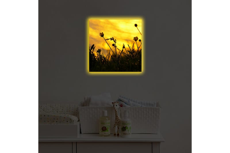 Canvastavla med LED-belysning 40x40 cm - Silhuett av blommor mot en gyllene solnedgång - Guld / Svart - Inredning & dekor - Tavlor & konst - Canvastavla