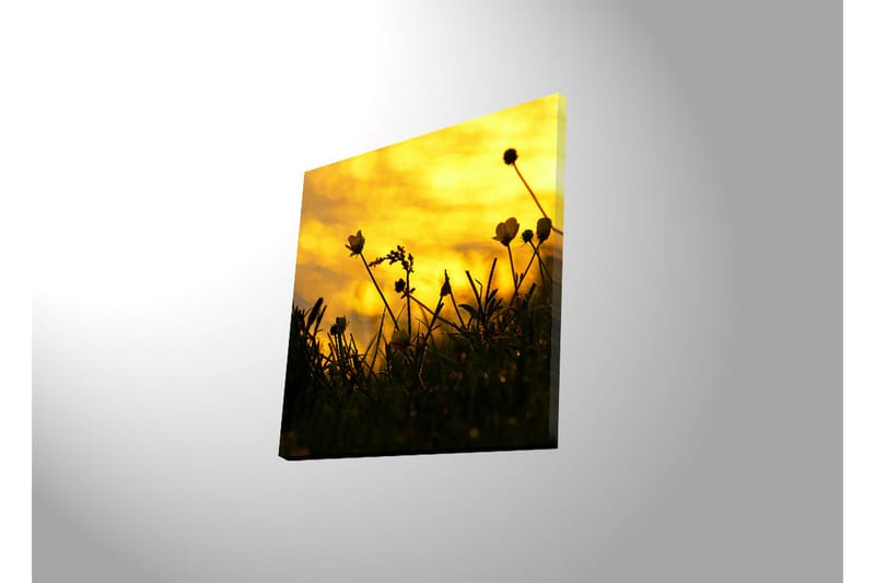 Canvastavla med LED-belysning 40x40 cm - Silhuett av blommor mot en gyllene solnedgång - Guld / Svart - Inredning & dekor - Tavlor & konst - Canvastavla
