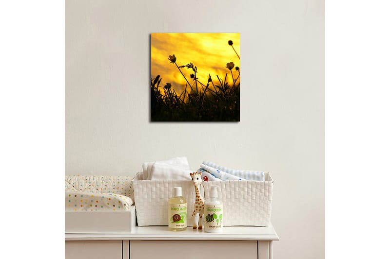 Canvastavla med LED-belysning 40x40 cm - Silhuett av blommor mot en gyllene solnedgång - Guld / Svart - Inredning & dekor - Tavlor & konst - Canvastavla