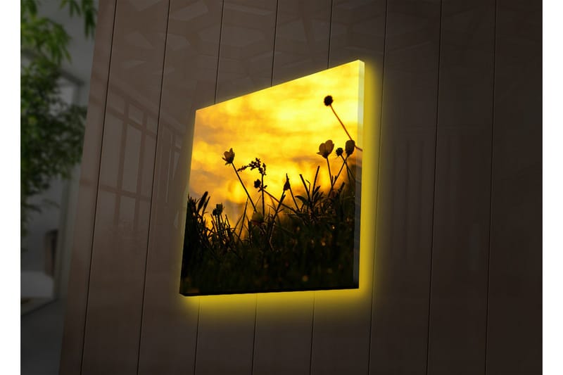 Canvastavla med LED-belysning 40x40 cm - Silhuett av blommor mot en gyllene solnedgång - Guld / Svart - Inredning & dekor - Tavlor & konst - Canvastavla