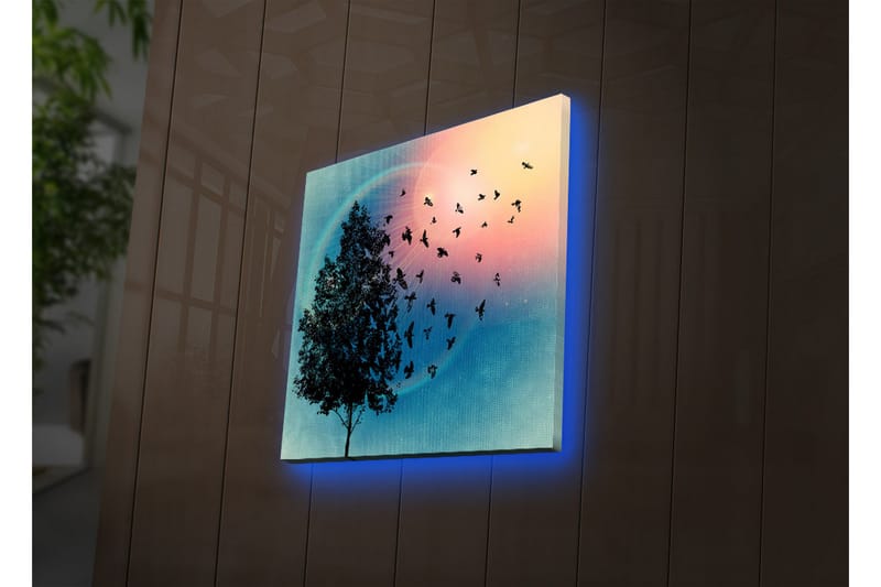 Canvastavla med LED-belysning 40x40 cm - Silhuett av ett träd med svävande fåglar mot en färgglad bakgrund - Blå / Rosa / Grön - Inredning & dekor - Tavlor & konst - Canvastavla