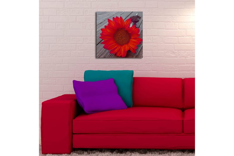 Canvastavla med LED-belysning 40x40 cm - Solros med intensiva röda och orangea blad - Röd / Orange - Inredning & dekor - Tavlor & konst - Canvastavla