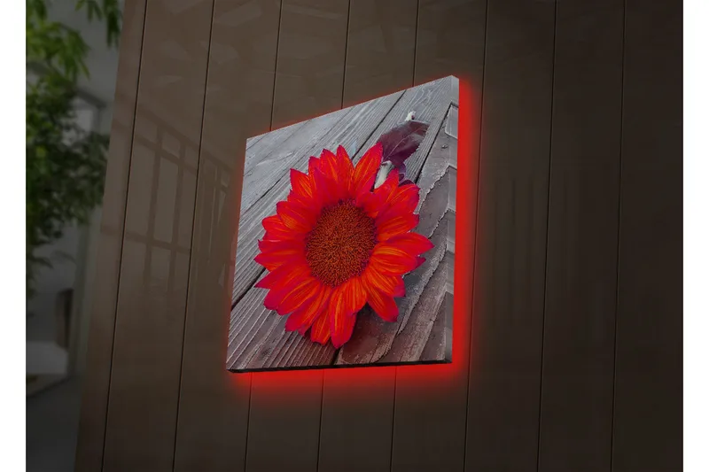 Canvastavla med LED-belysning 40x40 cm - Solros med intensiva röda och orangea blad - Röd / Orange - Inredning & dekor - Tavlor & konst - Canvastavla