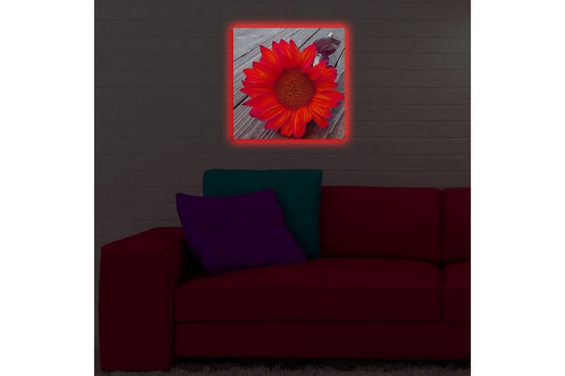 Canvastavla med LED-belysning 40x40 cm - Solros med intensiva röda och orangea blad - Röd / Orange - Inredning & dekor - Tavlor & konst - Canvastavla
