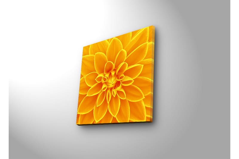Canvastavla med LED-belysning 40x40 cm - Storslagen blomma i gult - Gult / Orange - Inredning & dekor - Tavlor & konst - Canvastavla