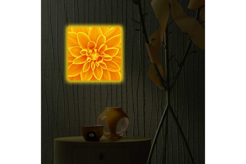 Canvastavla med LED-belysning 40x40 cm - Storslagen blomma i gult - Gult / Orange - Inredning & dekor - Tavlor & konst - Canvastavla