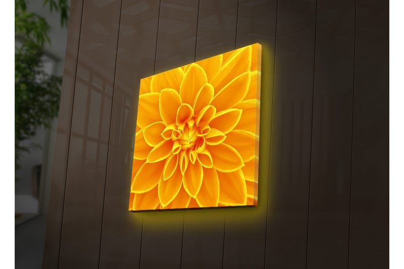 Canvastavla med LED-belysning 40x40 cm - Storslagen blomma i gult - Gult / Orange - Inredning & dekor - Tavlor & konst - Canvastavla