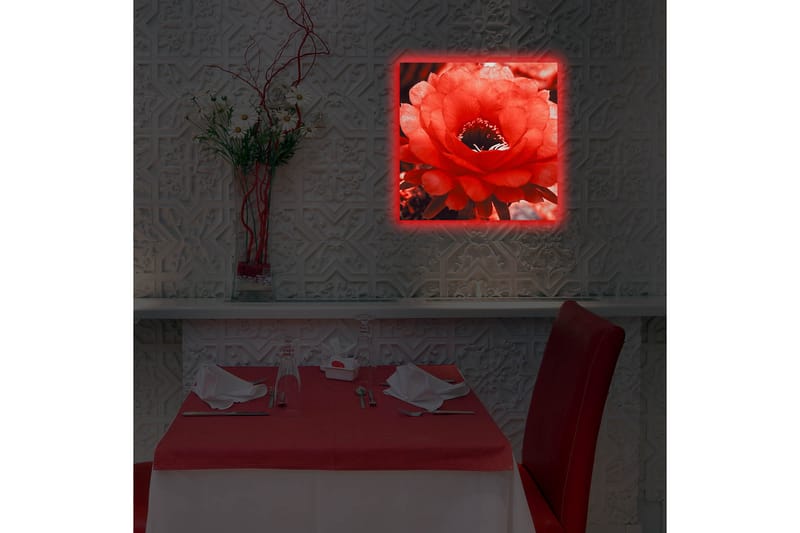 Canvastavla med LED-belysning 40x40 cm - Storslagen röd kaktusblomma i full blomning - Röd / Grå - Inredning & dekor - Tavlor & konst - Canvastavla
