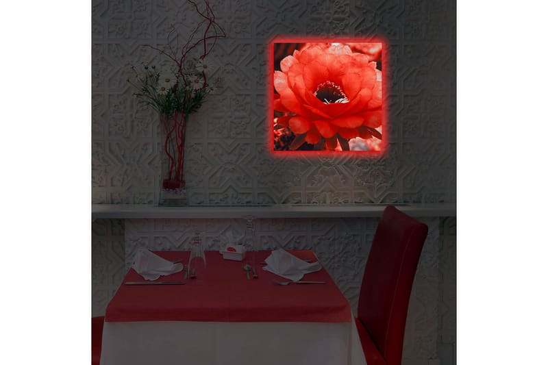 Canvastavla med LED-belysning 40x40 cm - Storslagen röd kaktusblomma i full blomning - Röd / Grå - Inredning & dekor - Tavlor & konst - Canvastavla