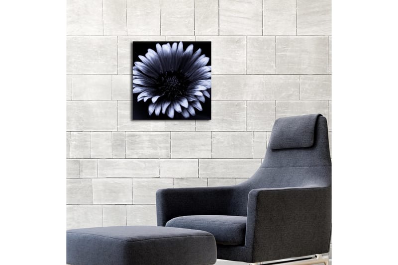 Canvastavla med LED-belysning 40x40 cm - Svartvit blomma med detaljerade kronblad - Svart / Vitt - Inredning & dekor - Tavlor & konst - Canvastavla