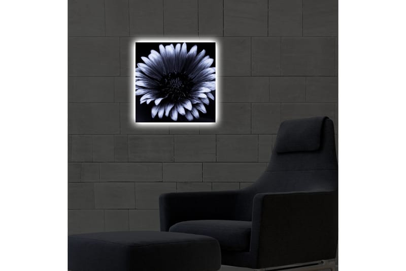 Canvastavla med LED-belysning 40x40 cm - Svartvit blomma med detaljerade kronblad - Svart / Vitt - Inredning & dekor - Tavlor & konst - Canvastavla