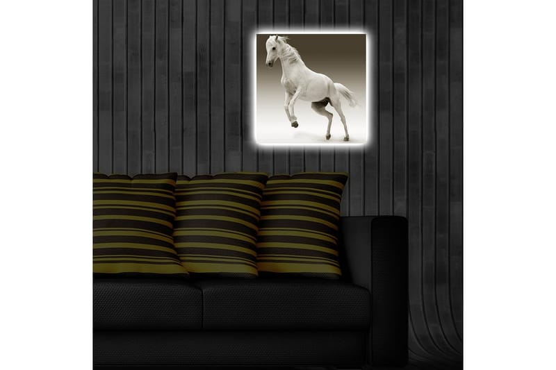 Canvastavla med LED-belysning 40x40 cm - Vit häst i rörelse - Vit / Grå - Inredning & dekor - Tavlor & konst - Canvastavla