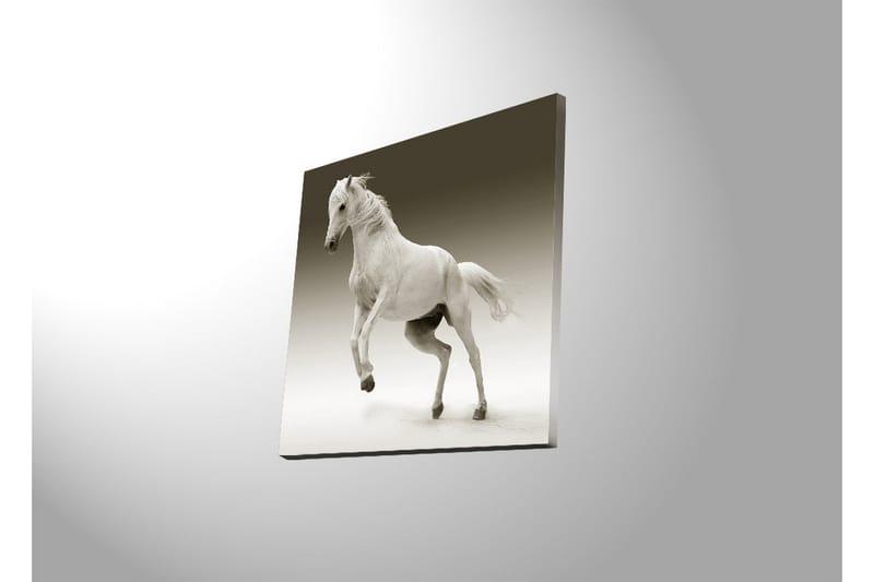 Canvastavla med LED-belysning 40x40 cm - Vit häst i rörelse - Vit / Grå - Inredning & dekor - Tavlor & konst - Canvastavla