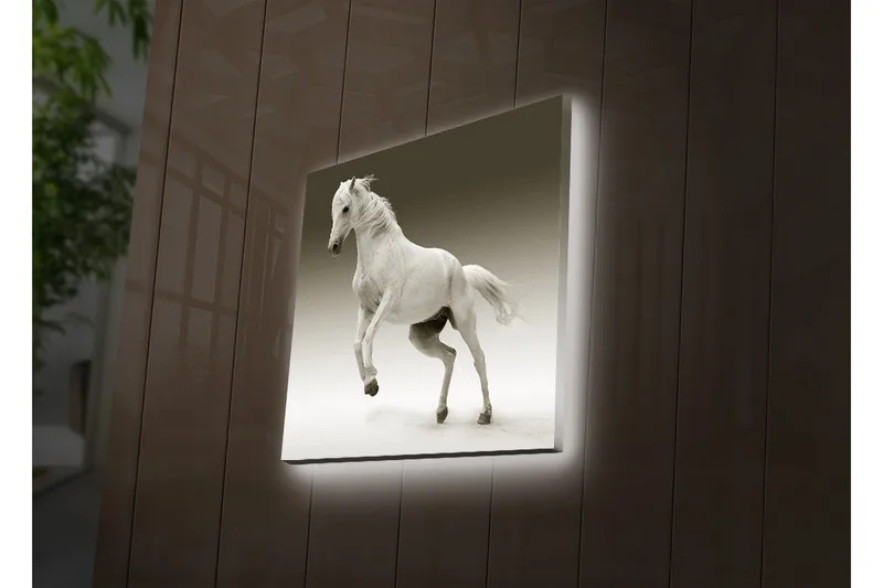 Canvastavla med LED-belysning 40x40 cm - Vit häst i rörelse - Vit / Grå - Inredning & dekor - Tavlor & konst - Canvastavla