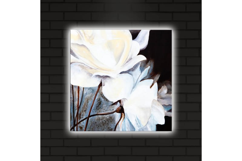 Canvastavla med LED-belysning 40x40 cm - Vita blommor mot en mörk bakgrund - Vit / Svart / Grå - Inredning & dekor - Tavlor & konst - Canvastavla