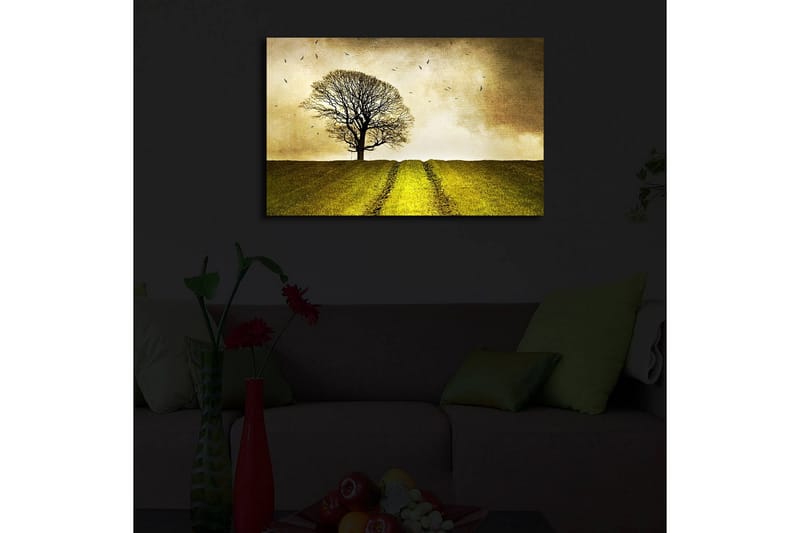 Canvastavla med LED-belysning 45x70 cm - Ensam trädkrona på en grön kulle under en gyllene himmel - Guld / Grön / Brun - Inredning & dekor - Tavlor & konst - Canvastavla