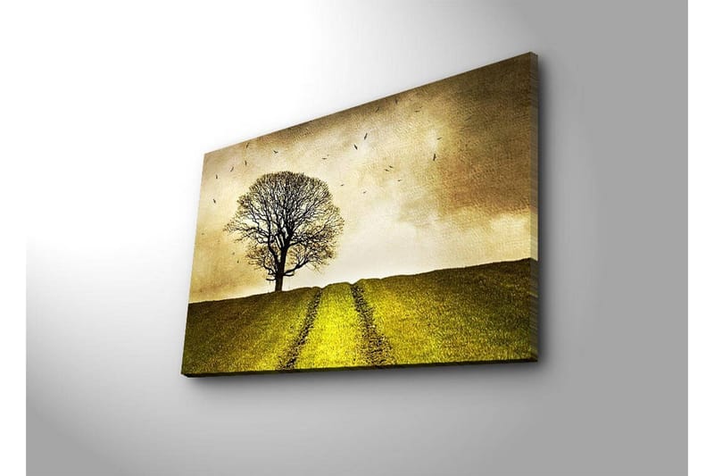 Canvastavla med LED-belysning 45x70 cm - Ensam trädkrona på en grön kulle under en gyllene himmel - Guld / Grön / Brun - Inredning & dekor - Tavlor & konst - Canvastavla