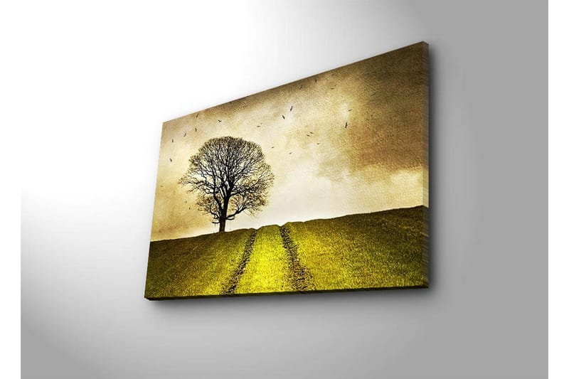 Canvastavla med LED-belysning 45x70 cm - Ensam trädkrona på en grön kulle under en gyllene himmel - Guld / Grön / Brun - Inredning & dekor - Tavlor & konst - Canvastavla