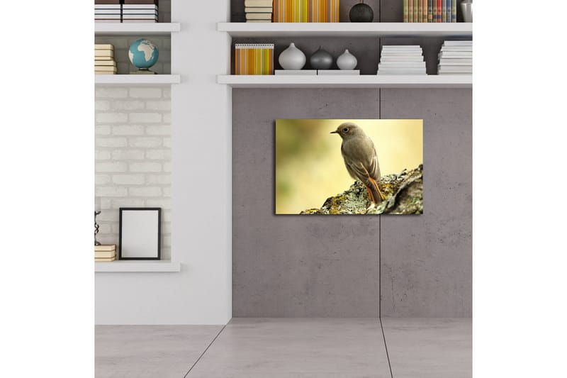 Canvastavla med LED-belysning 45x70 cm - Fågel som sitter på en sten med en mjuk bakgrund - Grå / Orange / Beige - Inredning & dekor - Tavlor & konst - Canvastavla