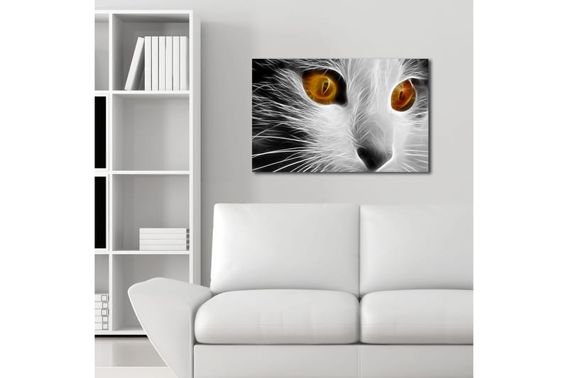 Canvastavla med LED-belysning 45x70 cm - Kattans ansikte med intensiva ögon - Vit / Svart / Orange - Inredning & dekor - Tavlor & konst - Canvastavla