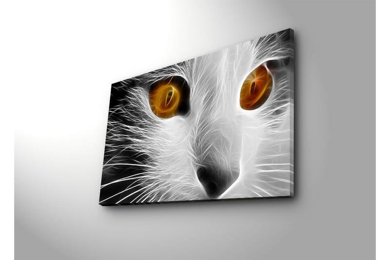 Canvastavla med LED-belysning 45x70 cm - Kattans ansikte med intensiva ögon - Vit / Svart / Orange - Inredning & dekor - Tavlor & konst - Canvastavla