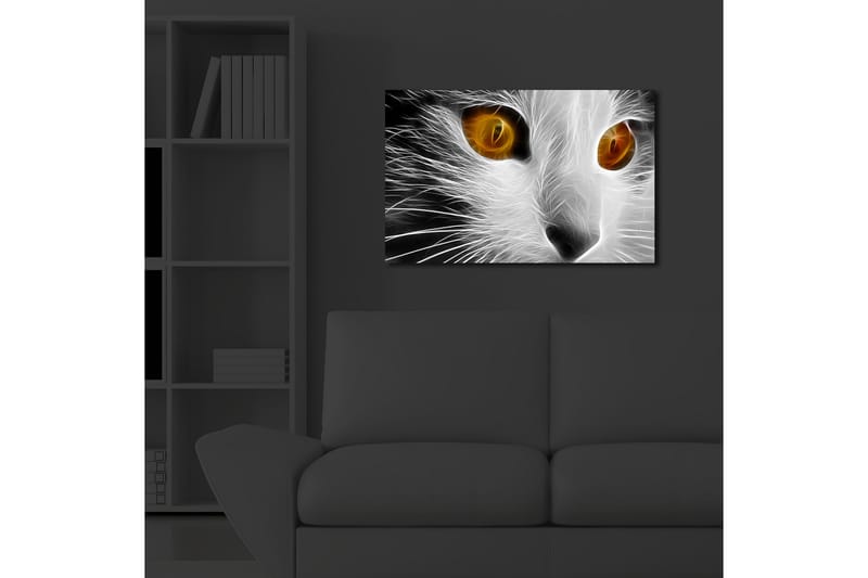Canvastavla med LED-belysning 45x70 cm - Kattans ansikte med intensiva ögon - Vit / Svart / Orange - Inredning & dekor - Tavlor & konst - Canvastavla