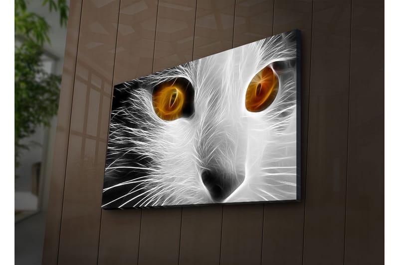 Canvastavla med LED-belysning 45x70 cm - Kattans ansikte med intensiva ögon - Vit / Svart / Orange - Inredning & dekor - Tavlor & konst - Canvastavla
