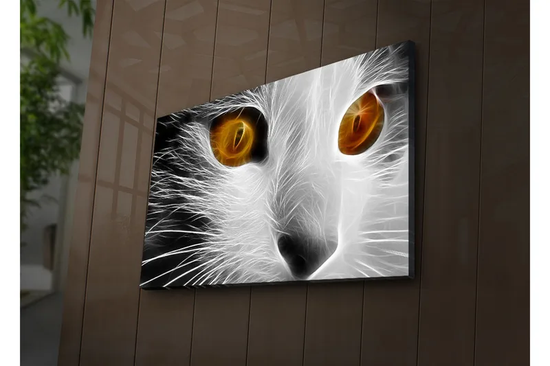 Canvastavla med LED-belysning 45x70 cm - Kattans ansikte med intensiva ögon - Vit / Svart / Orange - Inredning & dekor - Tavlor & konst - Canvastavla