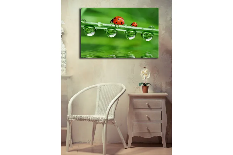 Canvastavla med LED-belysning 45x70 cm - Nyckelpigor på en grön gräslina med vattendroppar - Grön / Röd / Transparent - Inredning & dekor - Tavlor & konst - Canvastavla