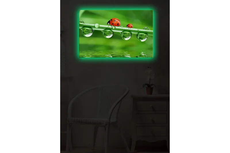 Canvastavla med LED-belysning 45x70 cm - Nyckelpigor på en grön gräslina med vattendroppar - Grön / Röd / Transparent - Inredning & dekor - Tavlor & konst - Canvastavla