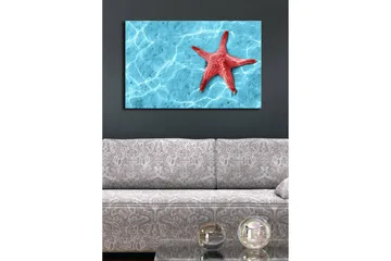 Canvastavla med LED-belysning 45x70 cm - Röd sjöstjärna på en klarblå vattenyta - Röd / Klarblå - Inredning & dekor - Tavlor & konst - Canvastavla
