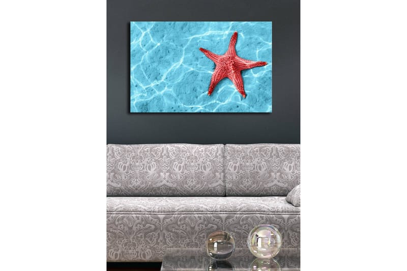 Canvastavla med LED-belysning 45x70 cm - Röd sjöstjärna på en klarblå vattenyta - Röd / Klarblå - Inredning & dekor - Tavlor & konst - Canvastavla