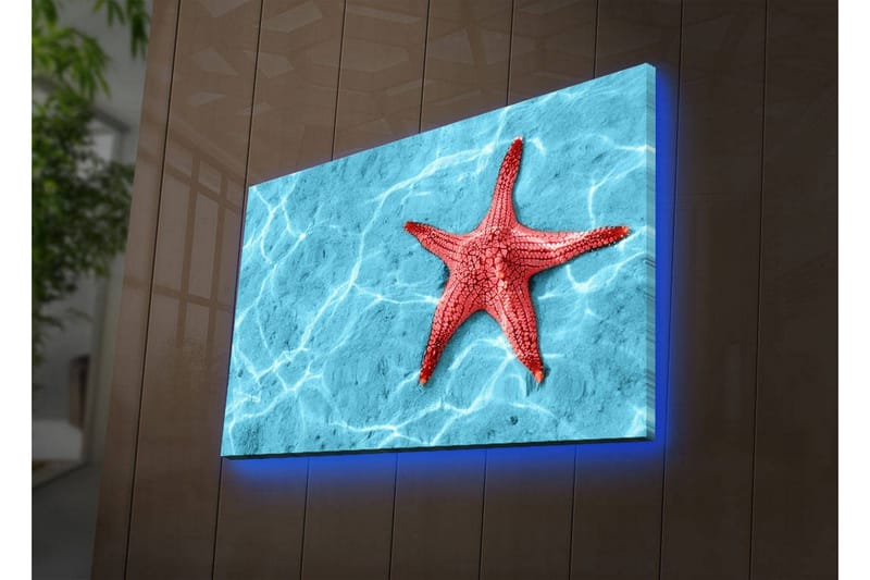 Canvastavla med LED-belysning 45x70 cm - Röd sjöstjärna på en klarblå vattenyta, Röd / Klarblå