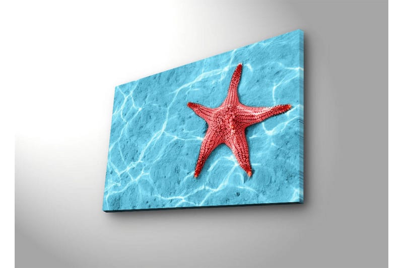 Canvastavla med LED-belysning 45x70 cm - Röd sjöstjärna på en klarblå vattenyta - Röd / Klarblå - Inredning & dekor - Tavlor & konst - Canvastavla