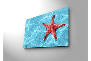 Canvastavla med LED-belysning 45x70 cm - Röd sjöstjärna på en klarblå vattenyta - Röd / Klarblå - Inredning & dekor - Tavlor & konst - Canvastavla