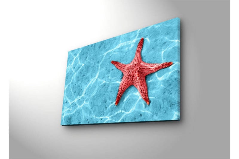 Canvastavla med LED-belysning 45x70 cm - Röd sjöstjärna på en klarblå vattenyta - Röd / Klarblå - Inredning & dekor - Tavlor & konst - Canvastavla