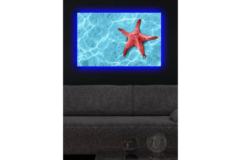 Canvastavla med LED-belysning 45x70 cm - Röd sjöstjärna på en klarblå vattenyta - Röd / Klarblå - Inredning & dekor - Tavlor & konst - Canvastavla