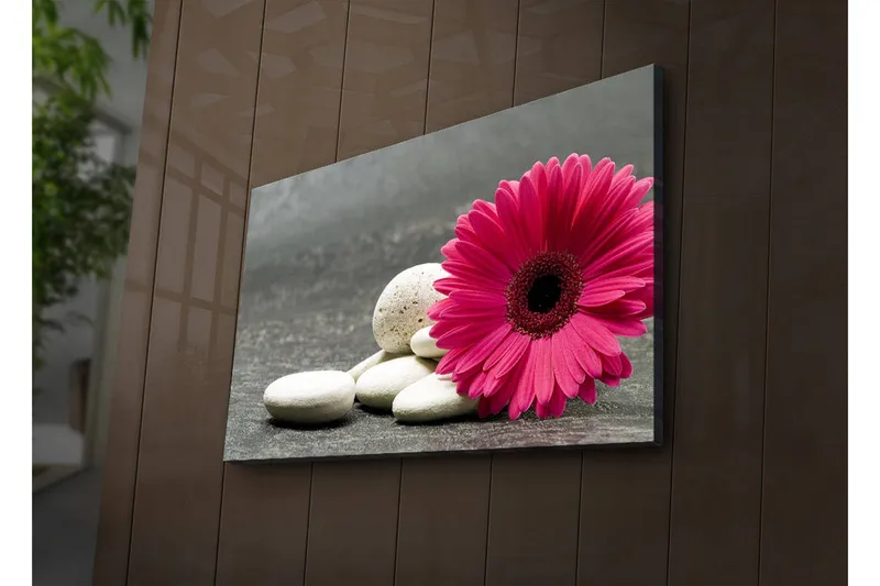 Canvastavla med LED-belysning 45x70 cm - Rosa blomma med vita stenar - Rosa / Vit / Grå - Inredning & dekor - Tavlor & konst - Canvastavla