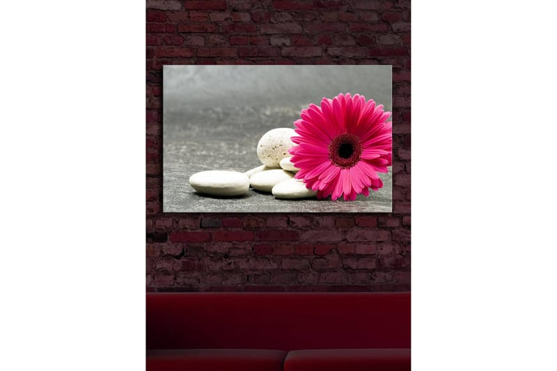 Canvastavla med LED-belysning 45x70 cm - Rosa blomma med vita stenar - Rosa / Vit / Grå - Inredning & dekor - Tavlor & konst - Canvastavla