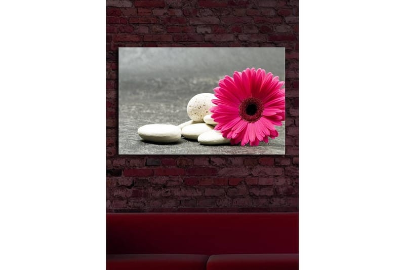 Canvastavla med LED-belysning 45x70 cm - Rosa blomma med vita stenar - Rosa / Vit / Grå - Inredning & dekor - Tavlor & konst - Canvastavla