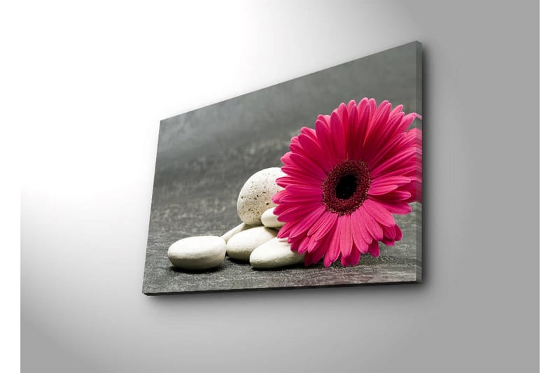 Canvastavla med LED-belysning 45x70 cm - Rosa blomma med vita stenar - Rosa / Vit / Grå - Inredning & dekor - Tavlor & konst - Canvastavla