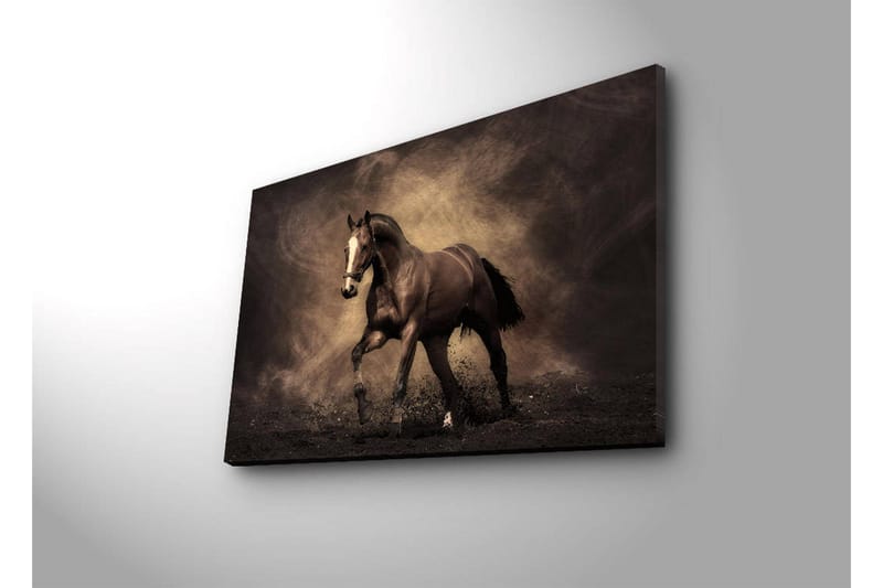 Canvastavla med LED-belysning 45x70 cm - Stolt häst i rörelse - Mörkbrun / Beige / Svart - Inredning & dekor - Tavlor & konst - Canvastavla